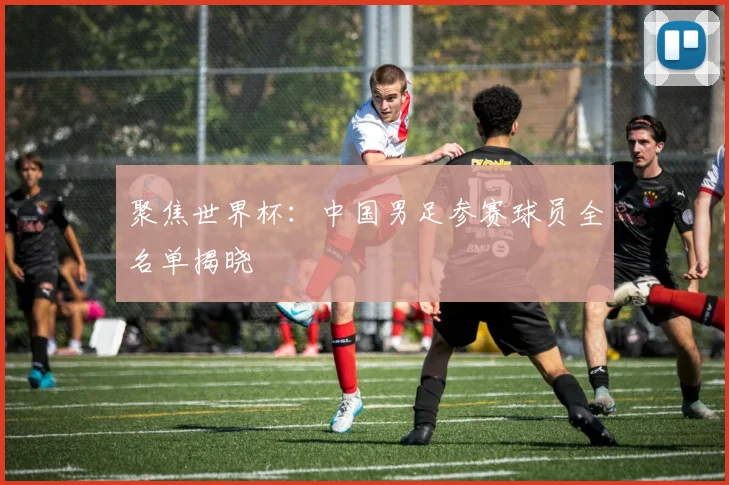 聚焦世界杯：中国男足参赛球员全名单揭晓