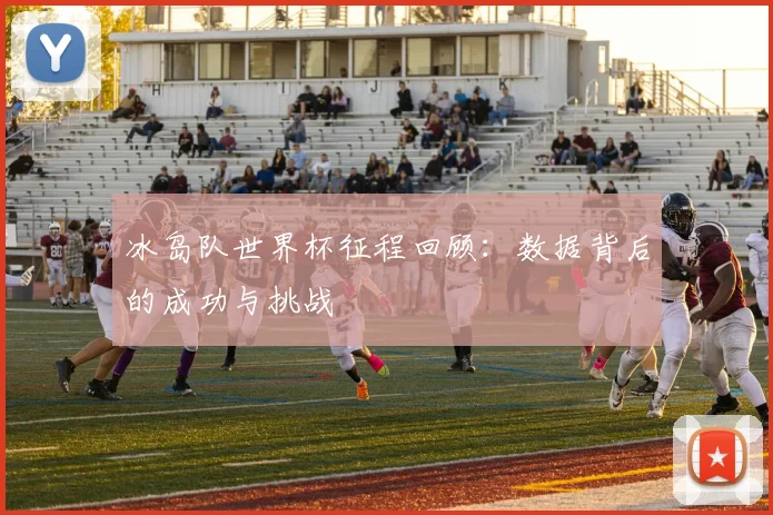 冰岛队世界杯征程回顾：数据背后的成功与挑战