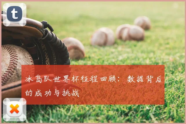 冰岛队世界杯征程回顾：数据背后的成功与挑战